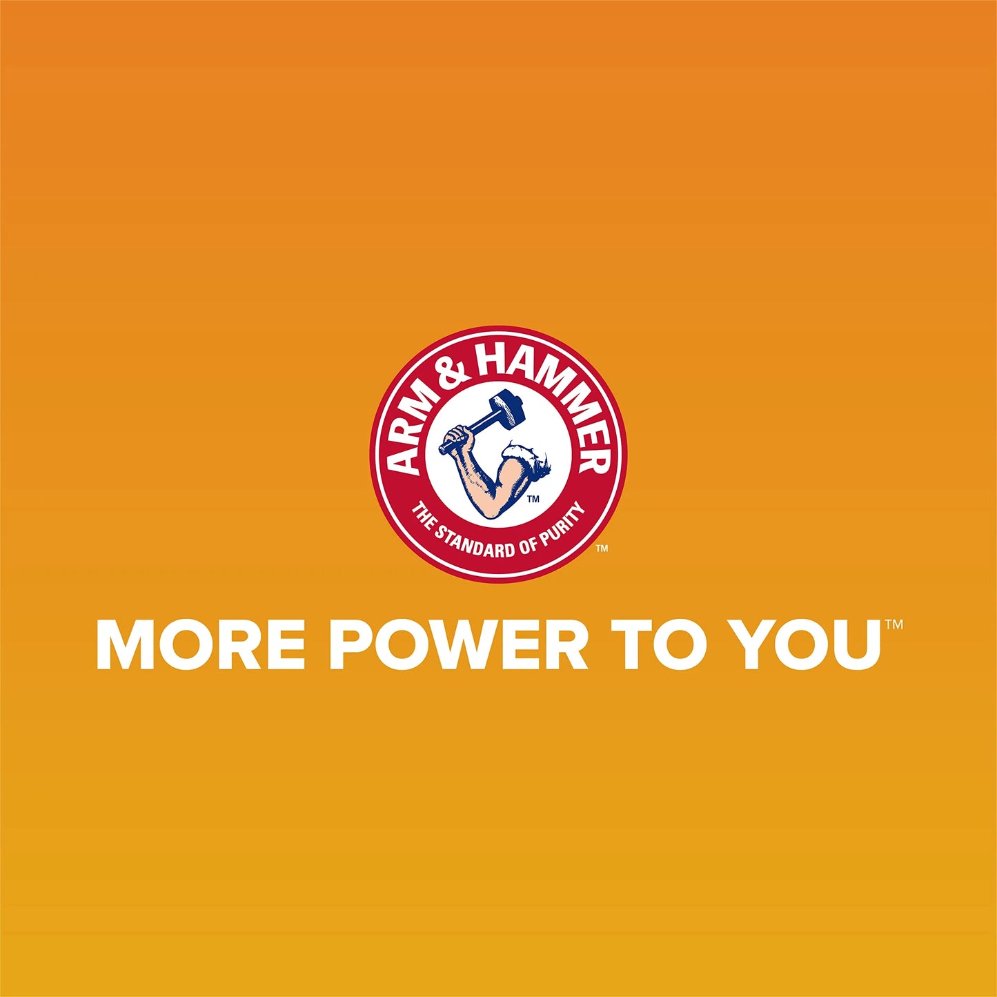 Arm & Hammer Rimmed Cat Litter Box with High Sides and Microban, Made in USA - View 10