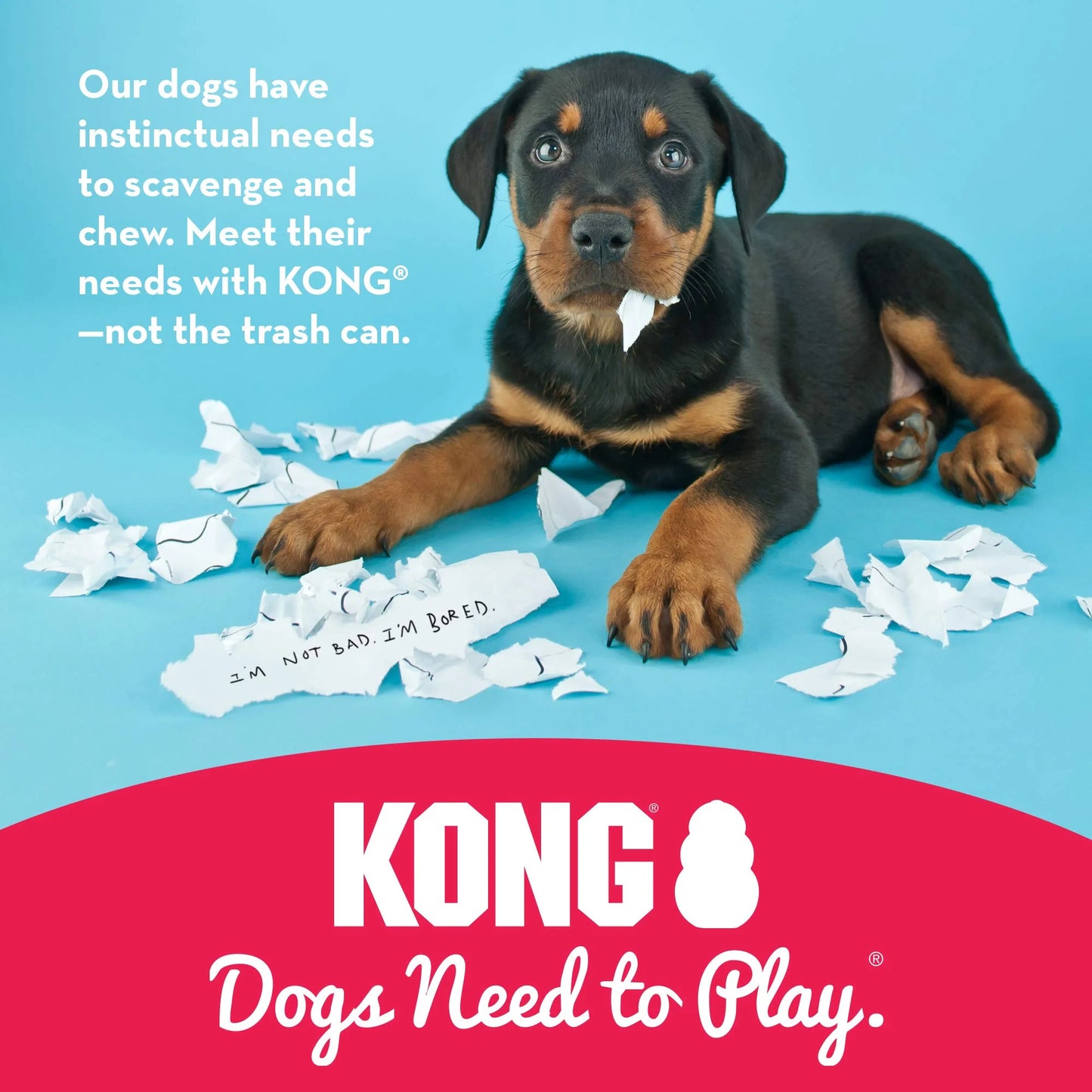 Natural Rubber KONG Classic Stuffable Dog Toy - Fetch & Chew Toy for Dogs - Treat-Filling Capabilities & Erratic Bounce for Extended Play Time - Durable Natural Rubber Material - for Medium Dogs, Good Condition condition - View 10