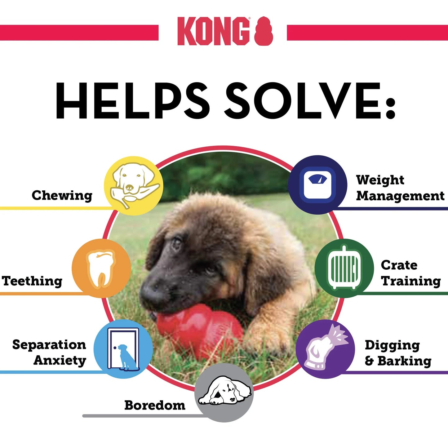 Natural Rubber KONG Classic Stuffable Dog Toy - Fetch & Chew Toy for Dogs - Treat-Filling Capabilities & Erratic Bounce for Extended Play Time - Durable Natural Rubber Material - for Medium Dogs, Good Condition condition - View 9