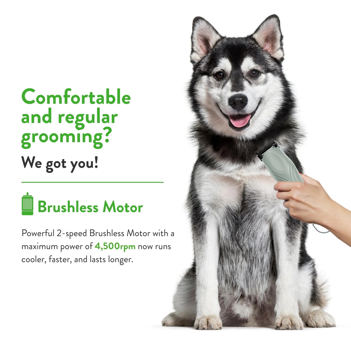 Teal Wahl Professional Animal KMC+ 2-Speed Cordless Clipper (3025661) - Detachable Blade Pet & Dog Clipper Kit - Patented Ergonomic Housing Design - Premium Pet Clipper - Teal, As Is condition - View 5