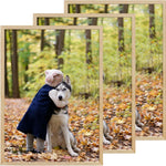 22x28 Inches Poster Frame Beige Picture Frame 28 x 22 Photo Frame 22 by 28 Oak Wood Frame Wall Mounted Frames for Hanging Vertically and Horizontally, 3 Pack