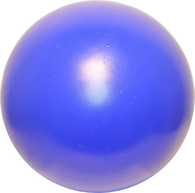 Jolly Pets Push-n-Play Ball Dog Toy, 14 Inches/Extra-Large, Blue (314 BL), for All Breed Sizes