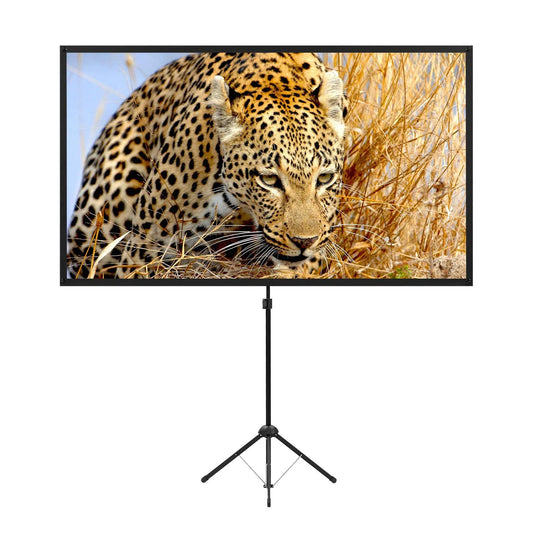 Portable Projector Screen with Stand - View 1